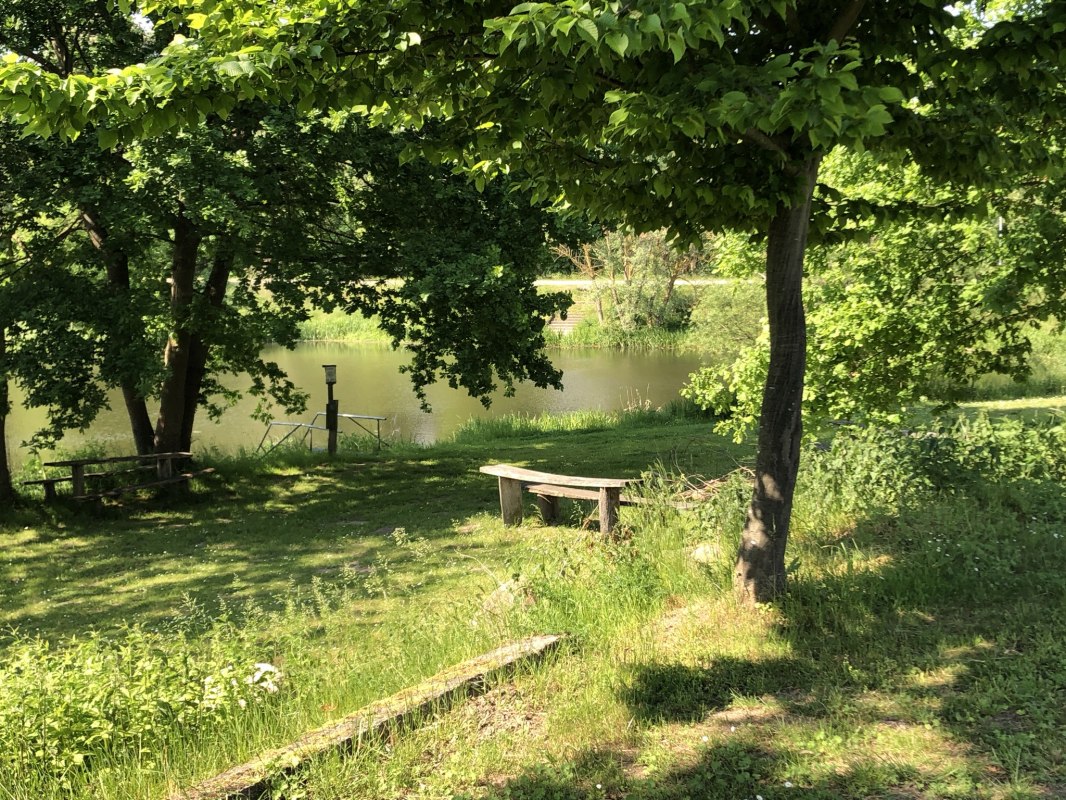 Der Mühlenteich (südliches Ende des Brohmer Stausees) direkt am Platz // © SG Der Mühlenteich (südliches Ende des Brohmer Stausees) direkt am Platz // © SG