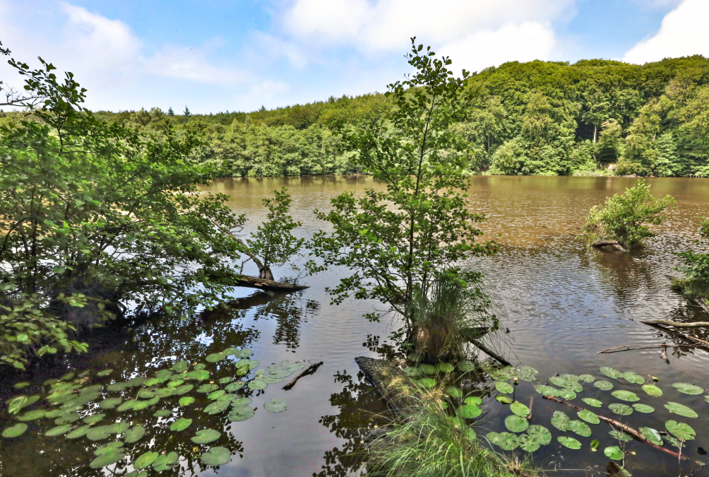 herthasee_2, © TMV/Gohlke