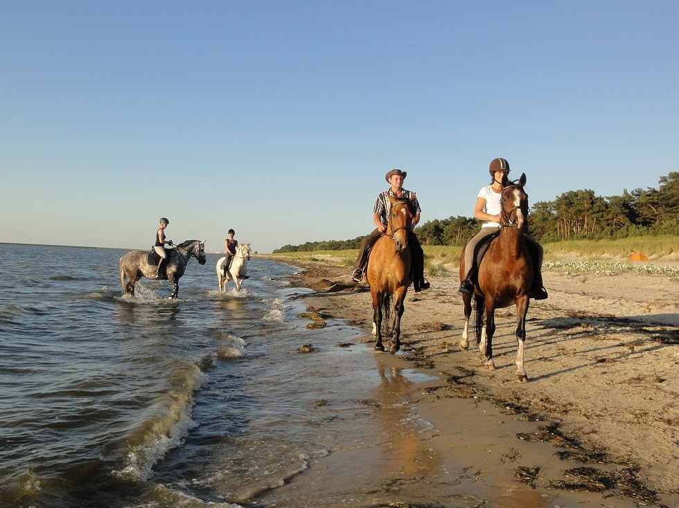 Gelände- und Strandritte durch die vorpommersche Boddenlandschaft // © Pferdesport Brauns Gelände- und Strandritte durch die vorpommersche Boddenlandschaft // © Pferdesport Brauns