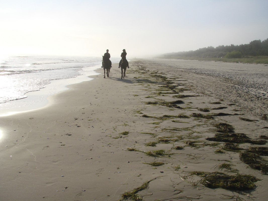 Ausritt am Strand in Trassenheide // © Hotel Friesenhof Ausritt am Strand in Trassenheide // © Hotel Friesenhof