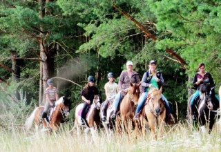 Mit der Reitanlage M&uuml;hlenberg tolle Ausritte durch die Lewitz erleben // &copy; Reitanlage M&uuml;hlenberg/ Mario M&uuml;hlenberg