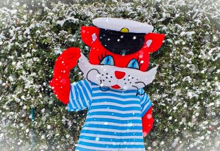 © 335176383015101 © 335176383015101