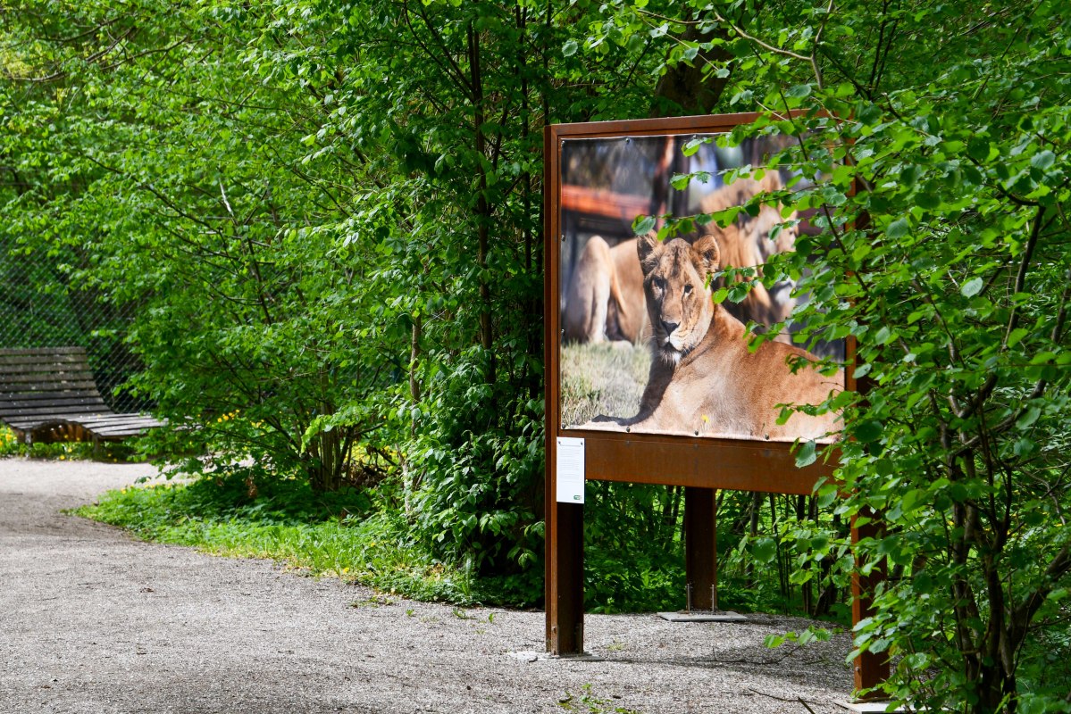 Foto-Ausstellung "Respekt, Mitgefühl und Verständnis" in der Waldgalerie im BÄRENWALD Müritz // © BÄRENWALD Müritz | Manuela Klier Foto-Ausstellung "Respekt, Mitgefühl und Verständnis" in der Waldgalerie im BÄRENWALD Müritz // © BÄRENWALD Müritz | Manuela Klier