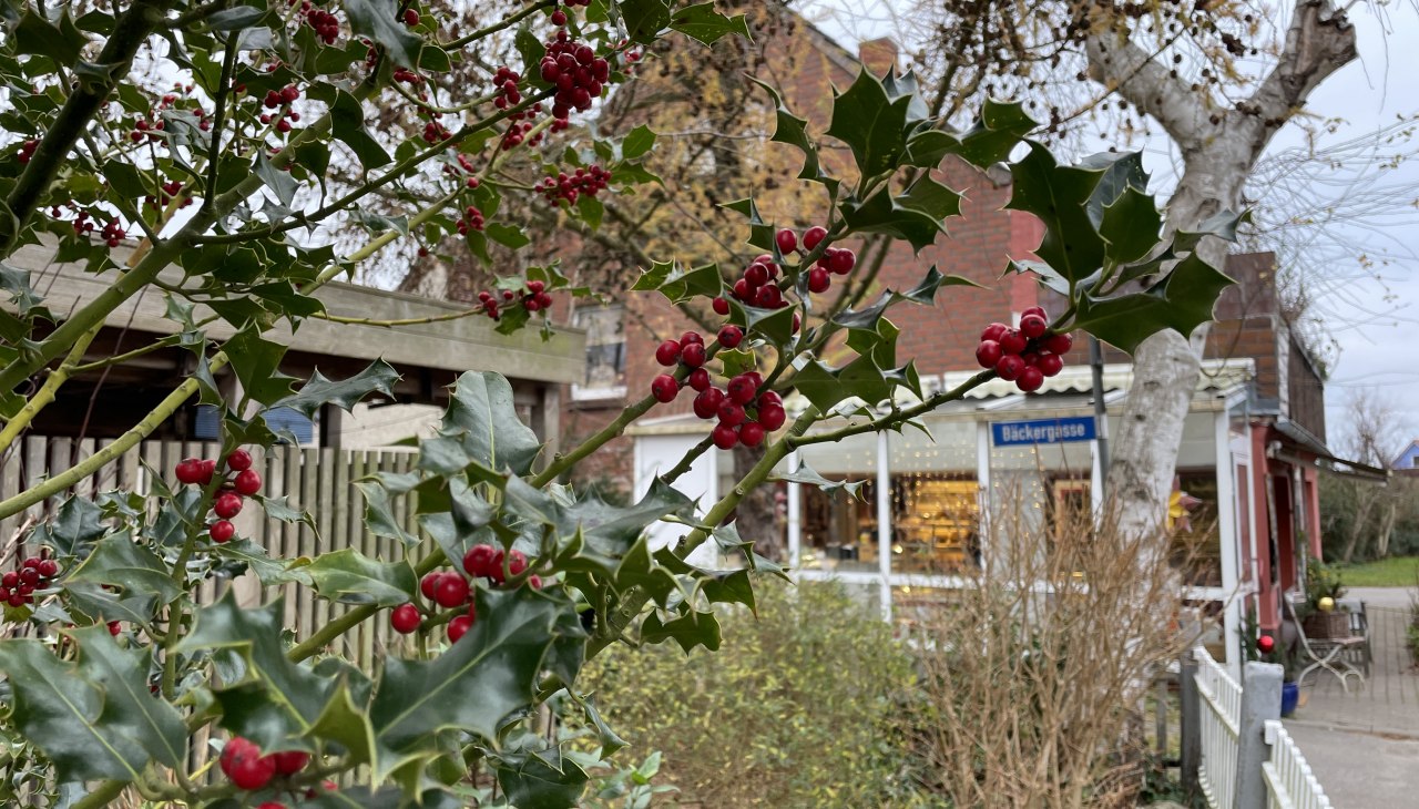 IMG_9416, &copy; TZ S&uuml;dliche Boddenk&uuml;ste