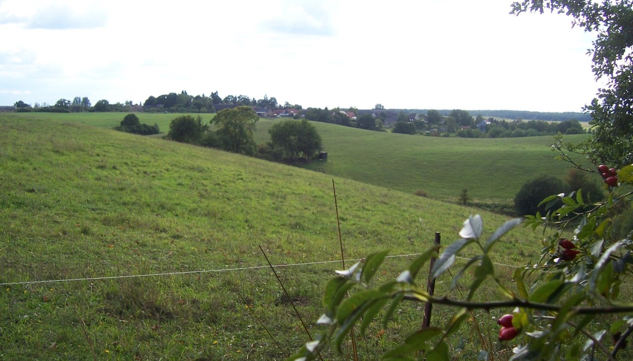 Blick aufs Dorf, © Ulrike Rosin