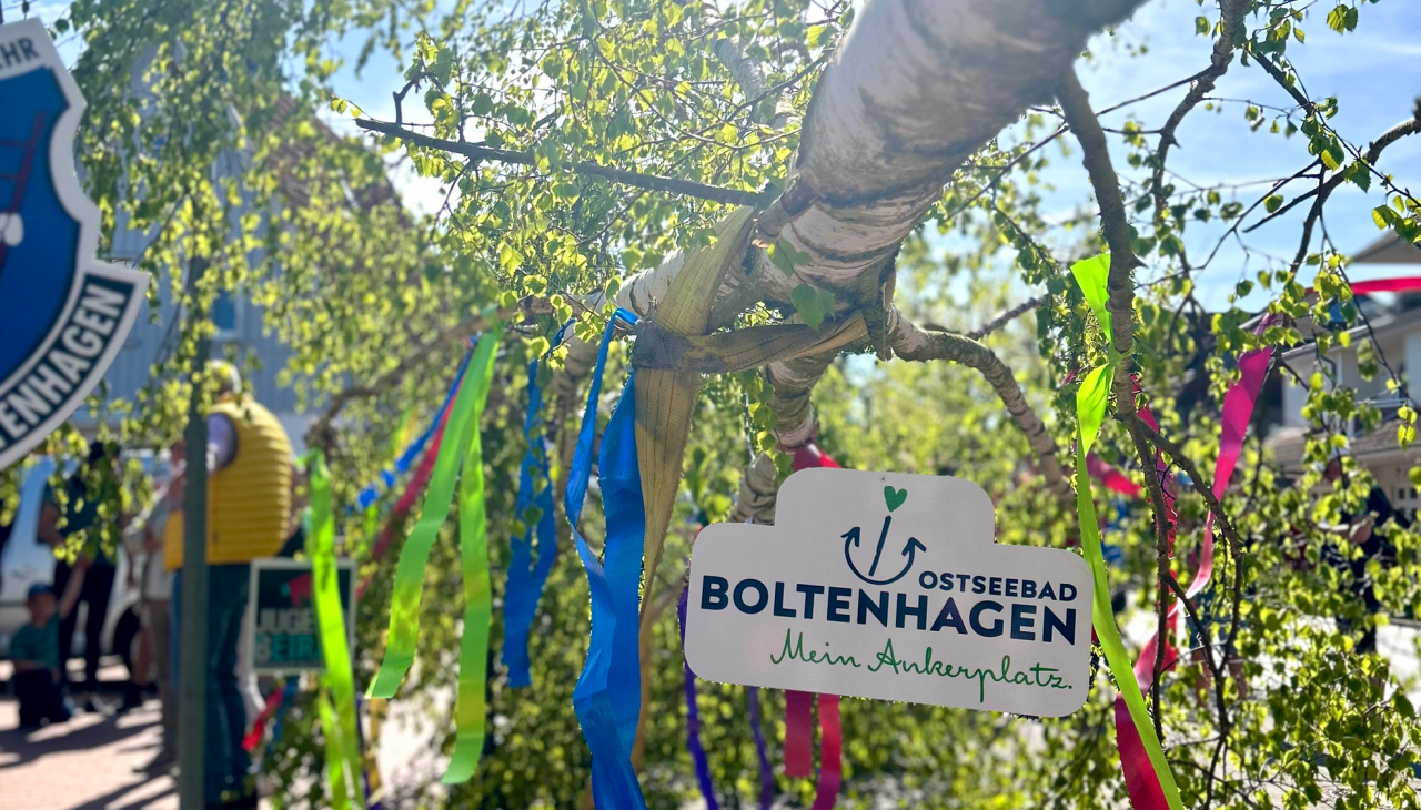 Maibaum2025, &copy; Kurverwaltung Ostseebad Boltenahgen