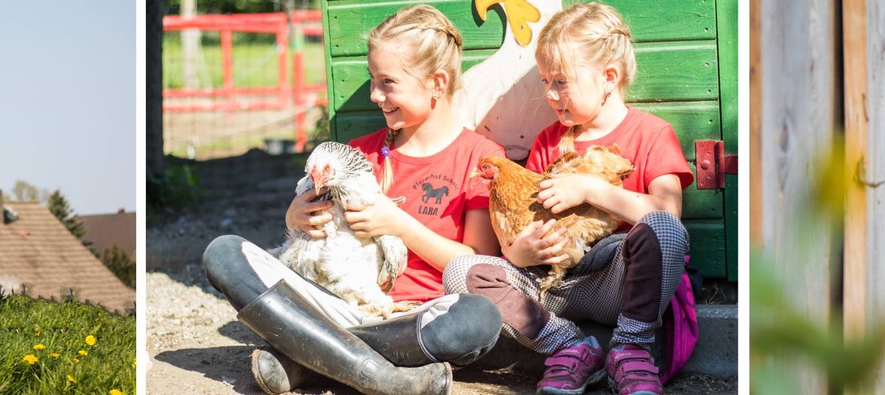 Pferdehof-scholz, © Pferdehof Scholz Pferdehof-scholz, © Pferdehof Scholz