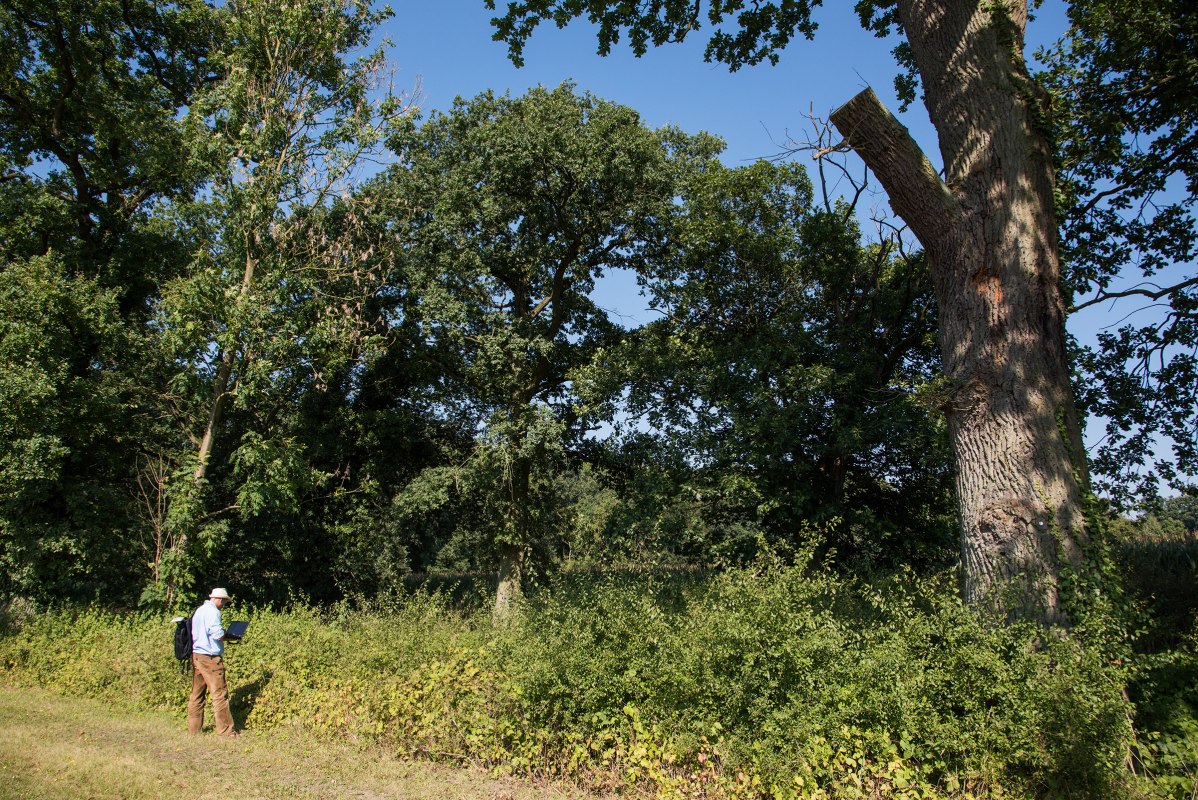 Inspectie van heggen en bomen // © Biosphärenreservatsamt Schaalsee-Elbe Inspectie van heggen en bomen // © Biosphärenreservatsamt Schaalsee-Elbe