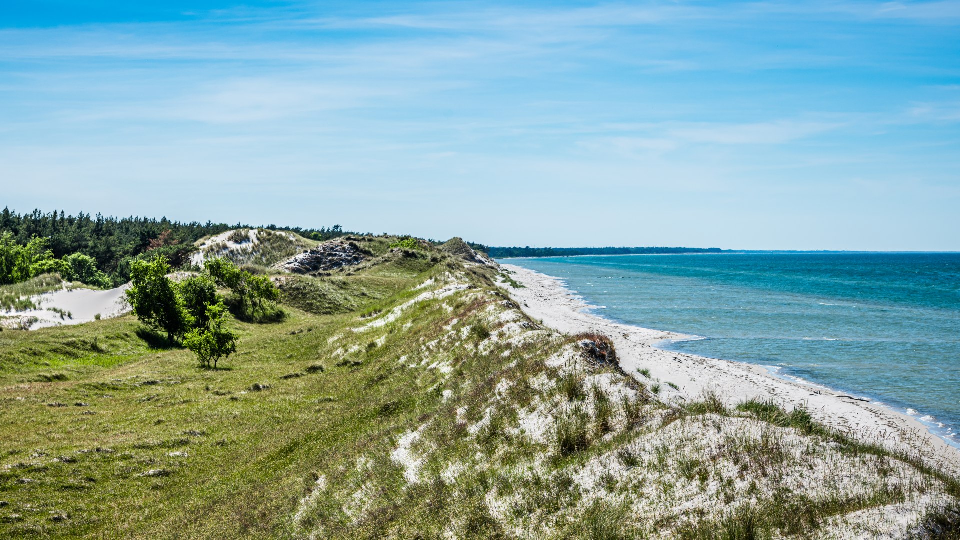 Freier Blick &uuml;ber die "Hohe D&uuml;hne" in der Naturlandschaft Zingst mit Sicht auf die Ostsee