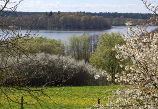 &copy; S.Hoffmeister