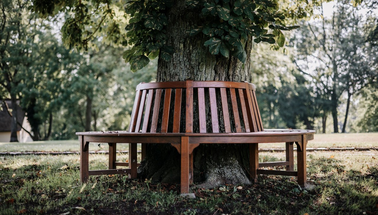 Gezellige plekjes zoals deze boombank vind je overal in het park en het landhuis, © Gutshaus Gremmelin Gezellige plekjes zoals deze boombank vind je overal in het park en het landhuis, © Gutshaus Gremmelin