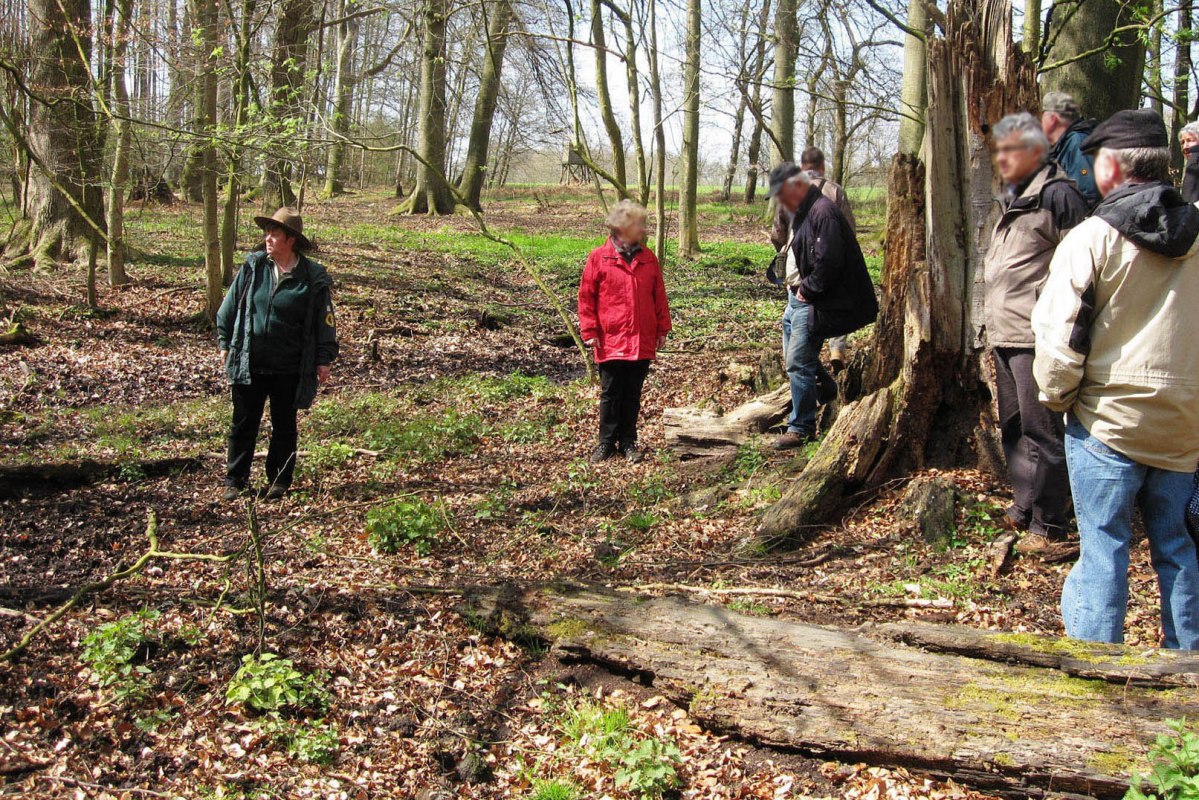 &copy; Biosph&auml;renreservat Schaalsee-Elbe