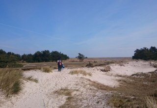 Dünen am Darßer Ort // © MV-T/UB Dünen am Darßer Ort // © MV-T/UB
