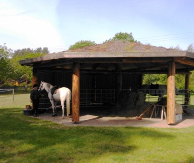In der Ferienanlage Am Walde können Ross und Reiter idyllisch entspannen und ausspannen. // © Thamm In der Ferienanlage Am Walde können Ross und Reiter idyllisch entspannen und ausspannen. // © Thamm