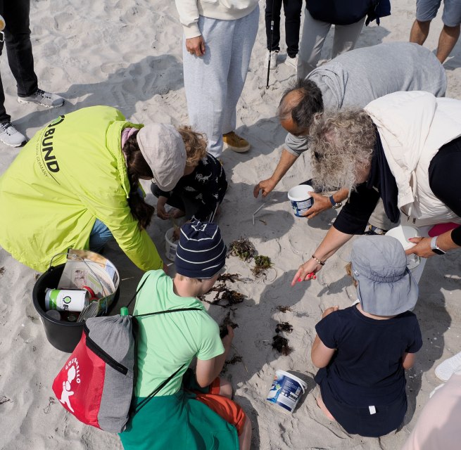Strandführung zum Tag der Robben // © Jörg Schmiedel Strandführung zum Tag der Robben // © Jörg Schmiedel