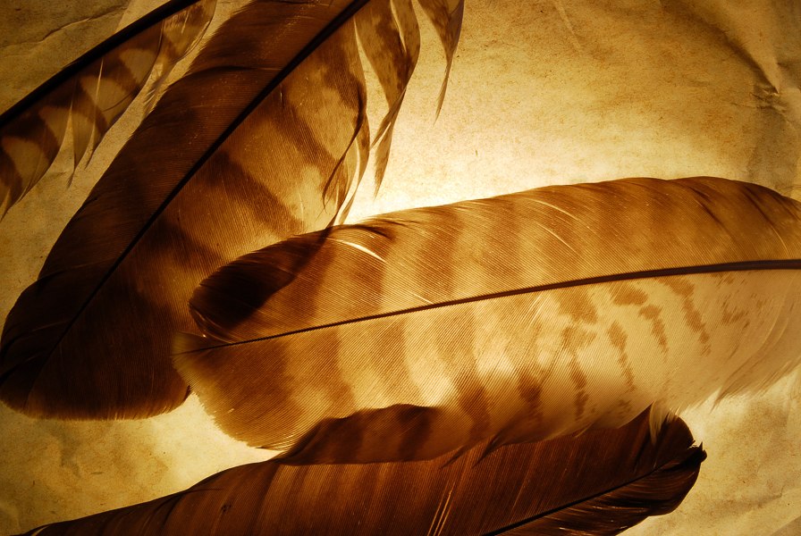 Zoeken naar gebeurtenissporen, © Nationalpark-Zentrum KÖNIGSSTUHL Zoeken naar gebeurtenissporen, © Nationalpark-Zentrum KÖNIGSSTUHL