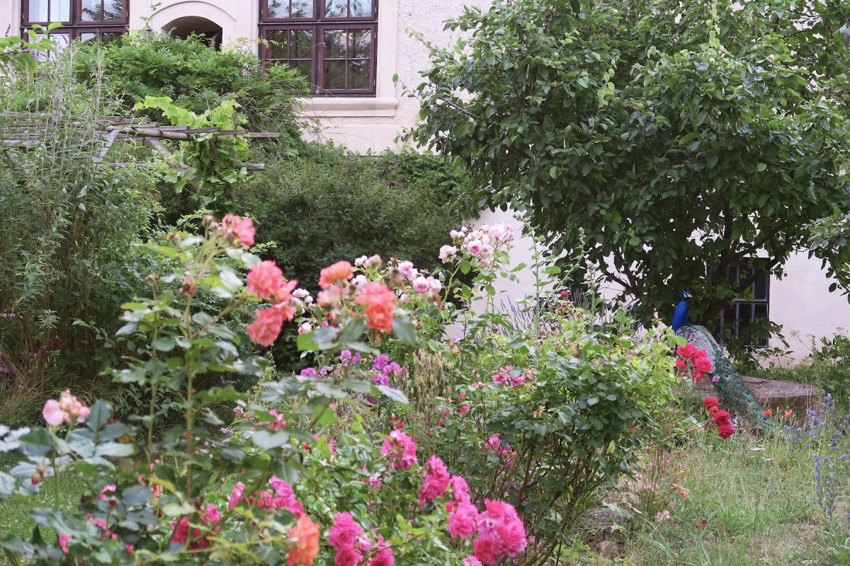 Romantischer Schlossgarten in Schmarsow // &copy; Ruiken-Fabich
