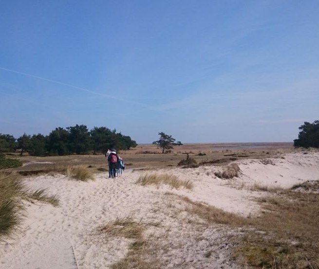 D&uuml;nen am Dar&szlig;er Ort // &copy; MV-T/UB