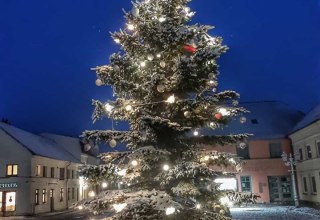 Kerstboom op het marktplein // &copy; Gabriele Riech