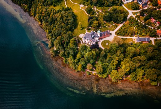 Zu DDR-Zeiten war Schloss Wiligrad so zugewachsen, dass man nichts von seiner Existenz ahnte. // © MV-T/Friedrich Zu DDR-Zeiten war Schloss Wiligrad so zugewachsen, dass man nichts von seiner Existenz ahnte. // © MV-T/Friedrich