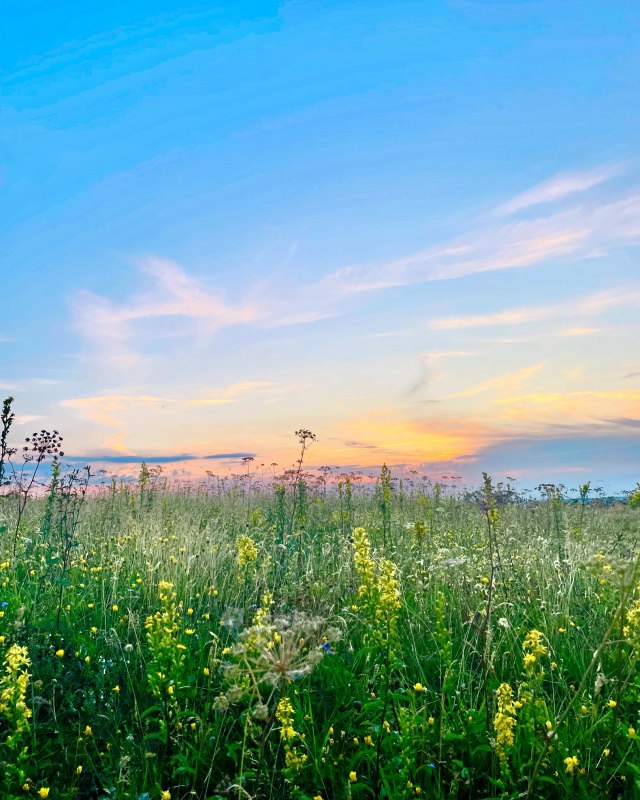 &copy; KV M&ouml;nchgut