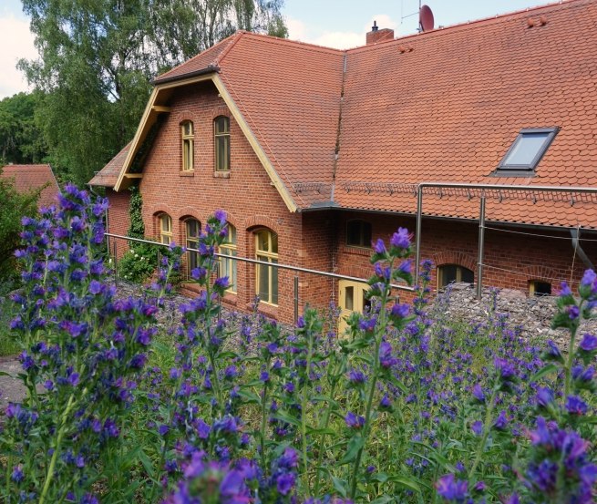 &copy; Jugendbegegnungsst&auml;tte Golm