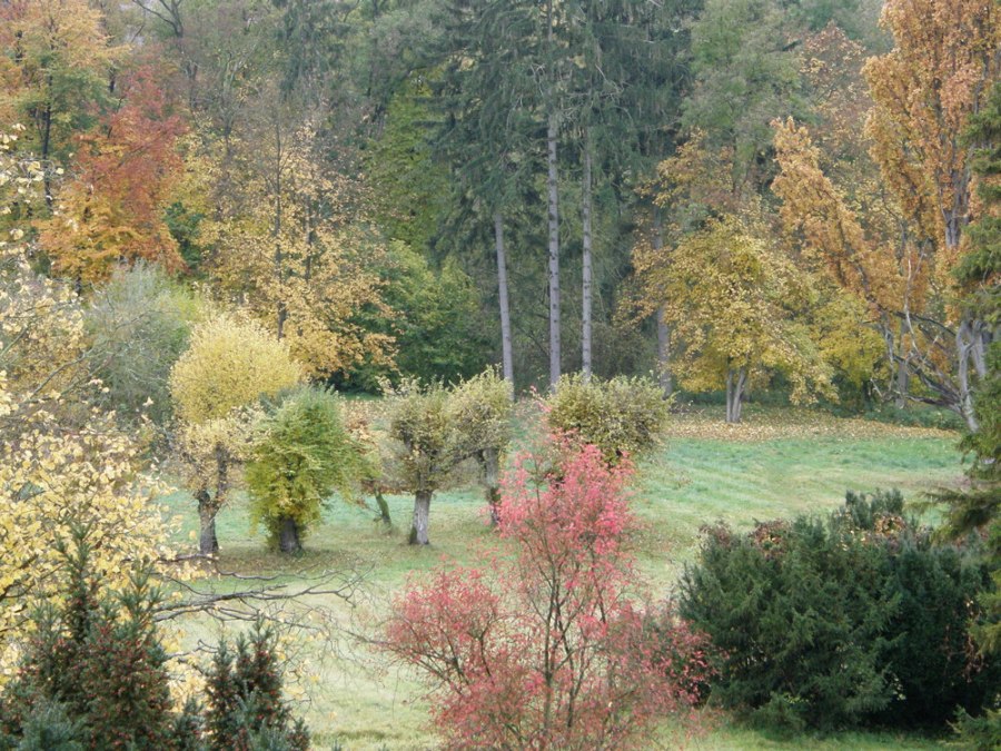 Wietzower Park, © Kröger