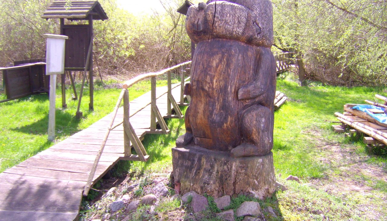 Biber, © Wobau Demmin GmbH Biber, © Wobau Demmin GmbH