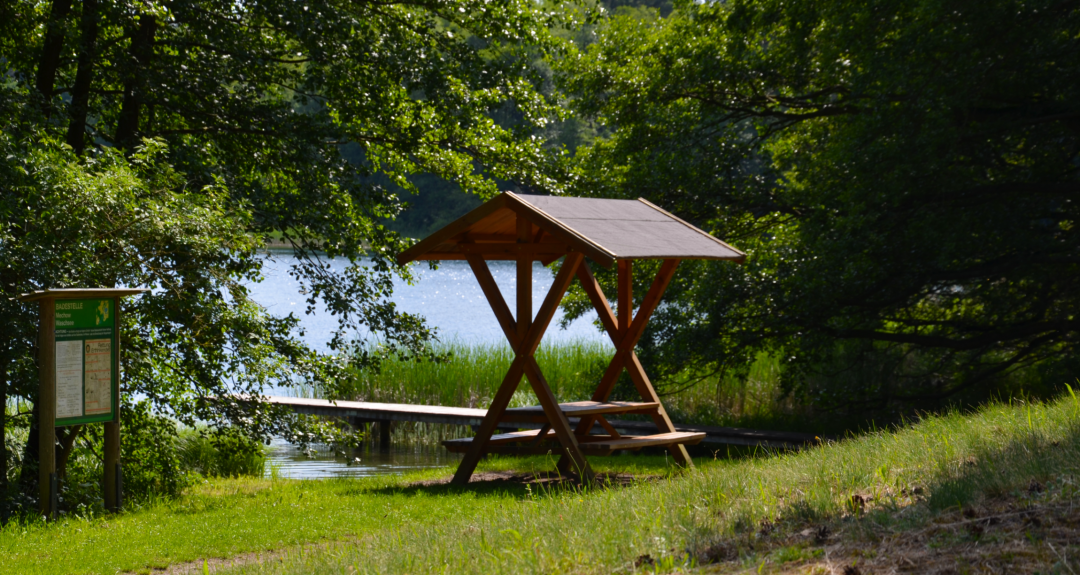 Waschsee_4, © Martin Möller