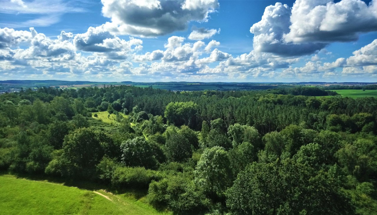 Landschaftsblick vom Ehrenmal, &copy; Jana Koch
