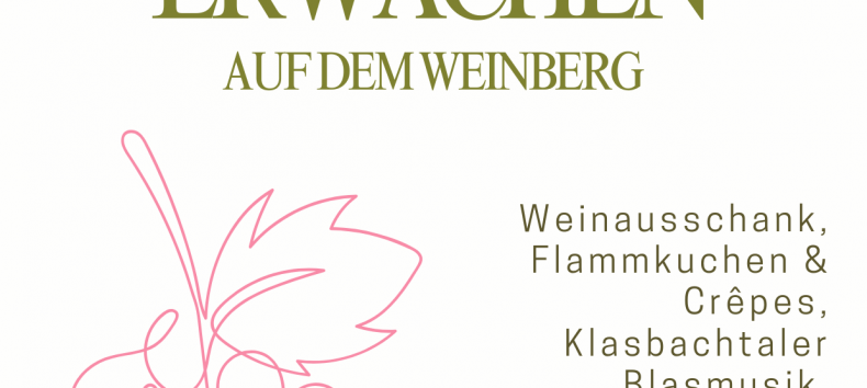 Plakat Fr&uuml;hlingserwachen // &copy; Juliane D&auml;hn