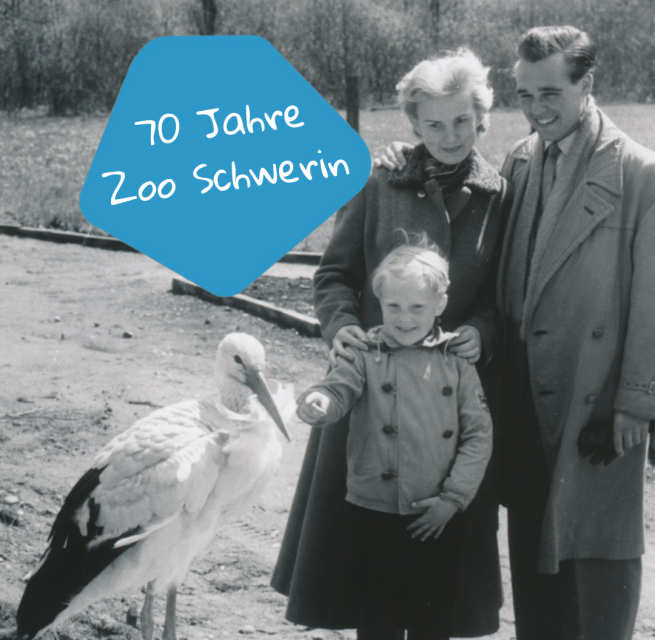 70 Jahre Zoo Schwerin // &copy; Zoo Schwerin