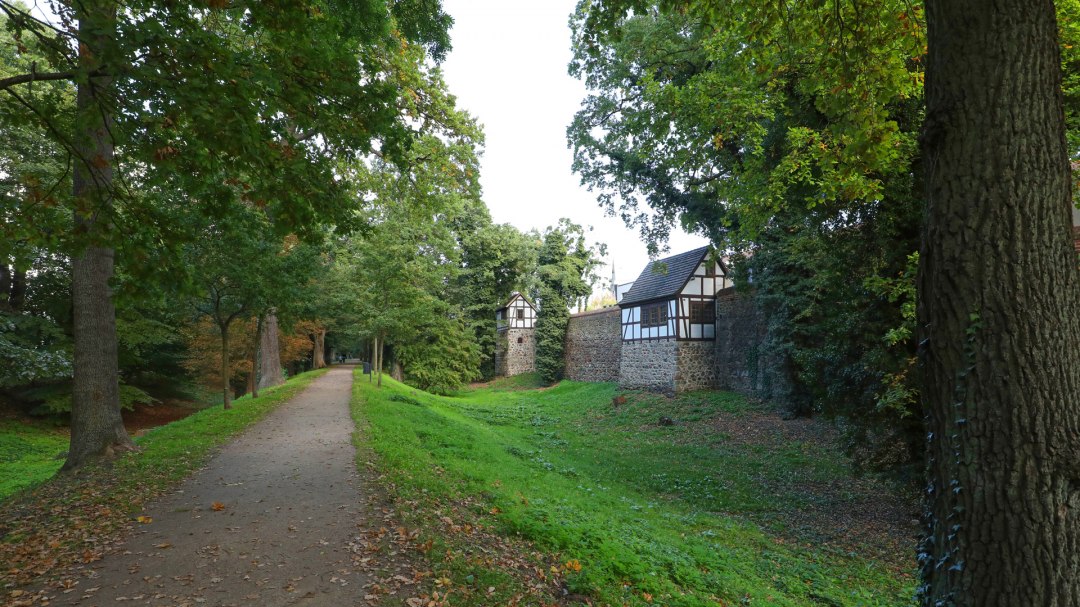 Mittelalterliche Wall- und Wehranlage Neubrandenburg_2, © TMV/Gohlke