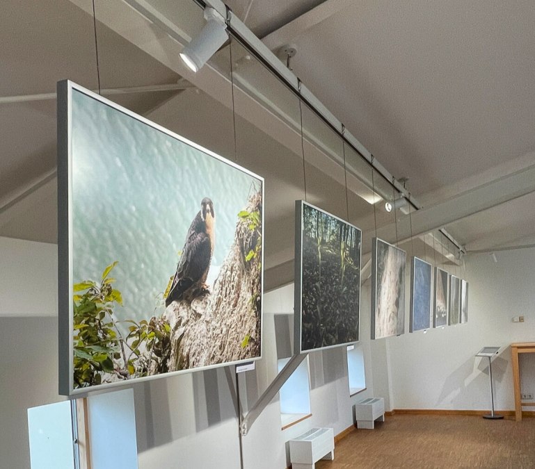 Fototentoonstelling_Jürgen Reich, © Nationalpark-Zentrum KÖNIGSSTUHL Fototentoonstelling_Jürgen Reich, © Nationalpark-Zentrum KÖNIGSSTUHL