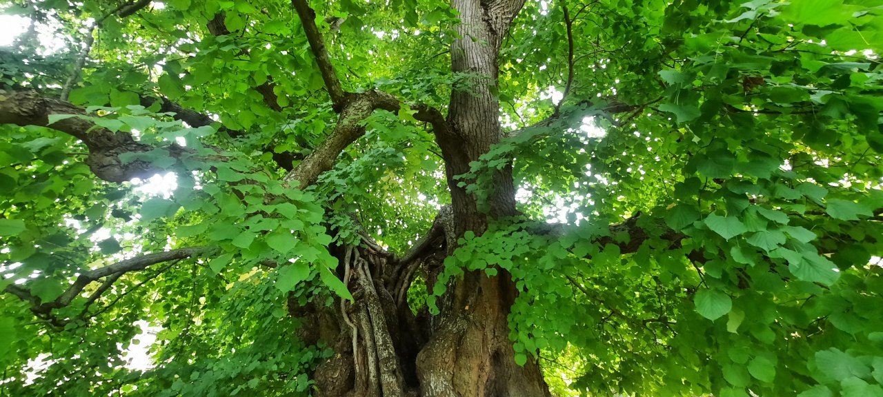 &copy; Waren (M&uuml;ritz)-Information