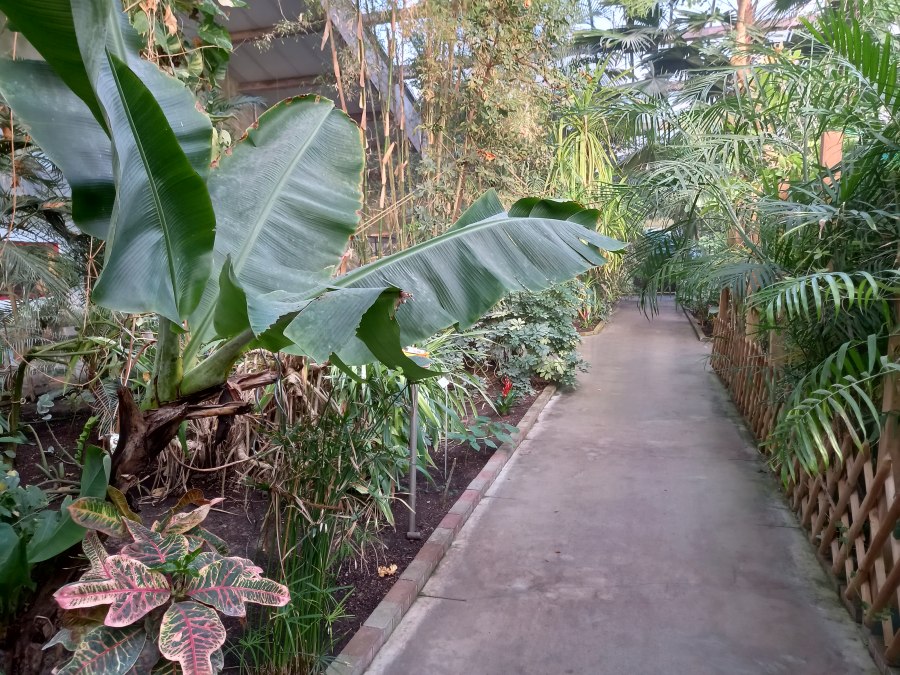 20220312_163531, &copy; Schmetterlingsfarm/Heike Schnelle