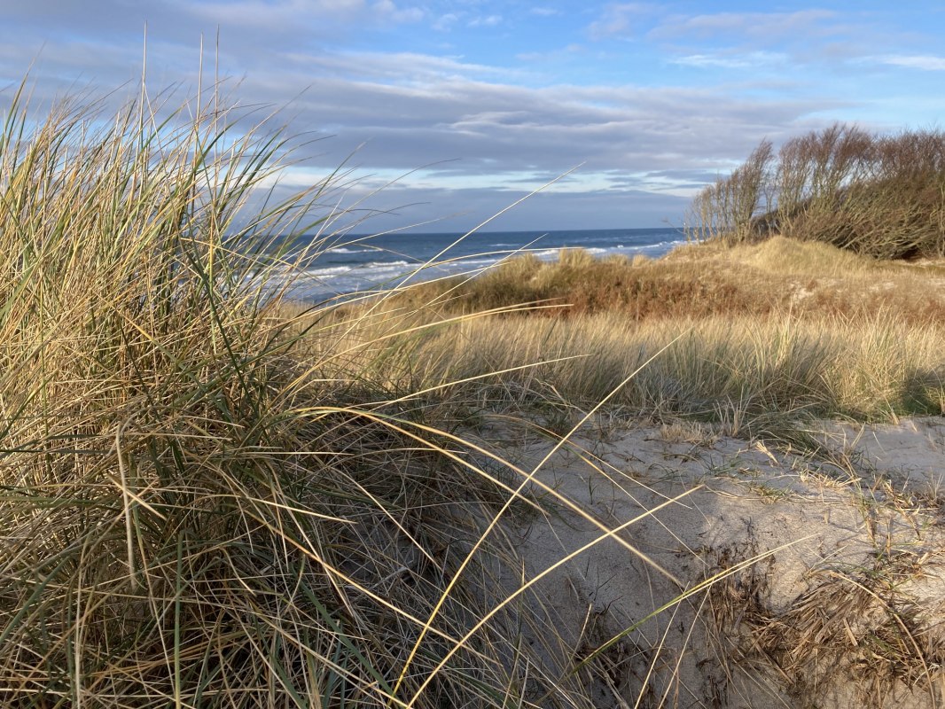 Weststrand Winter // © Nationalparkamt Vorpommern Weststrand Winter // © Nationalparkamt Vorpommern