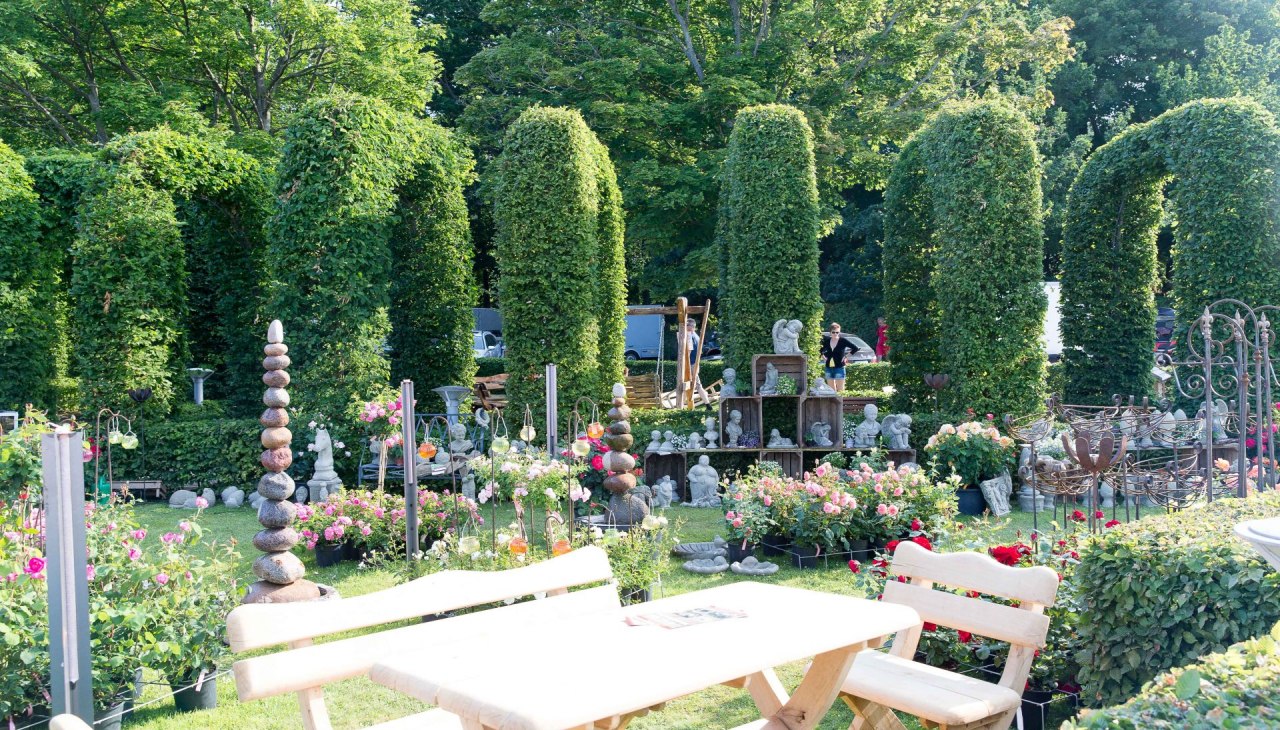 Sommergartenzauber (c) Kurverwaltung Goehren Martin Stoever _2015_62P7042, © Kurverwaltung Goehren / Martin Stoever Sommergartenzauber (c) Kurverwaltung Goehren Martin Stoever _2015_62P7042, © Kurverwaltung Goehren / Martin Stoever