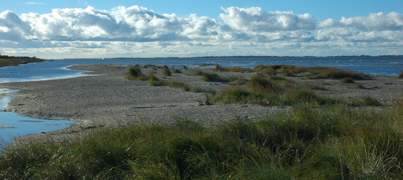 &copy; Nationalparkamt Vorpommern