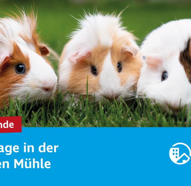 © Neuwoges © Neuwoges