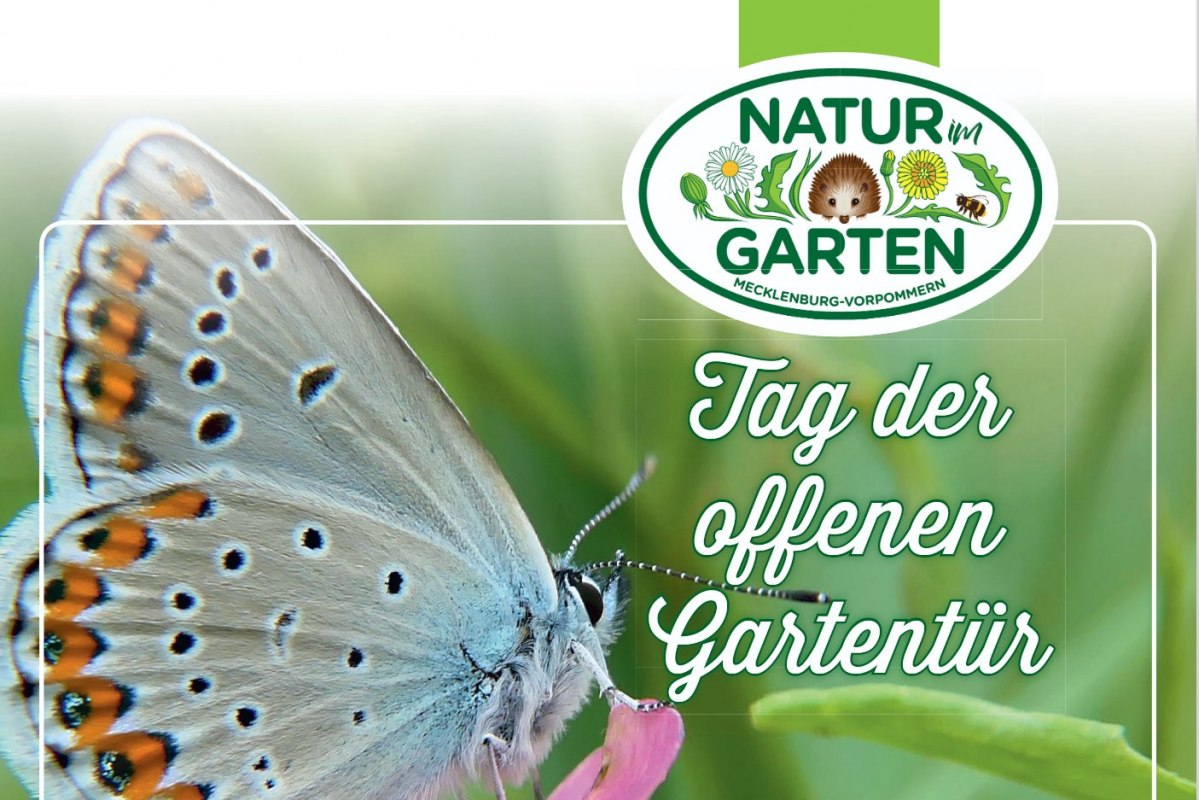 © Landschaftspflegeverband Mecklenburger Endmoräne e.V. © Landschaftspflegeverband Mecklenburger Endmoräne e.V.