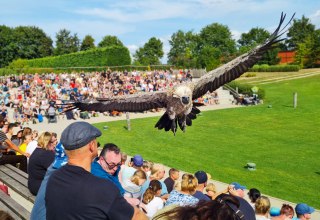 &copy; Vogelpark Marlow