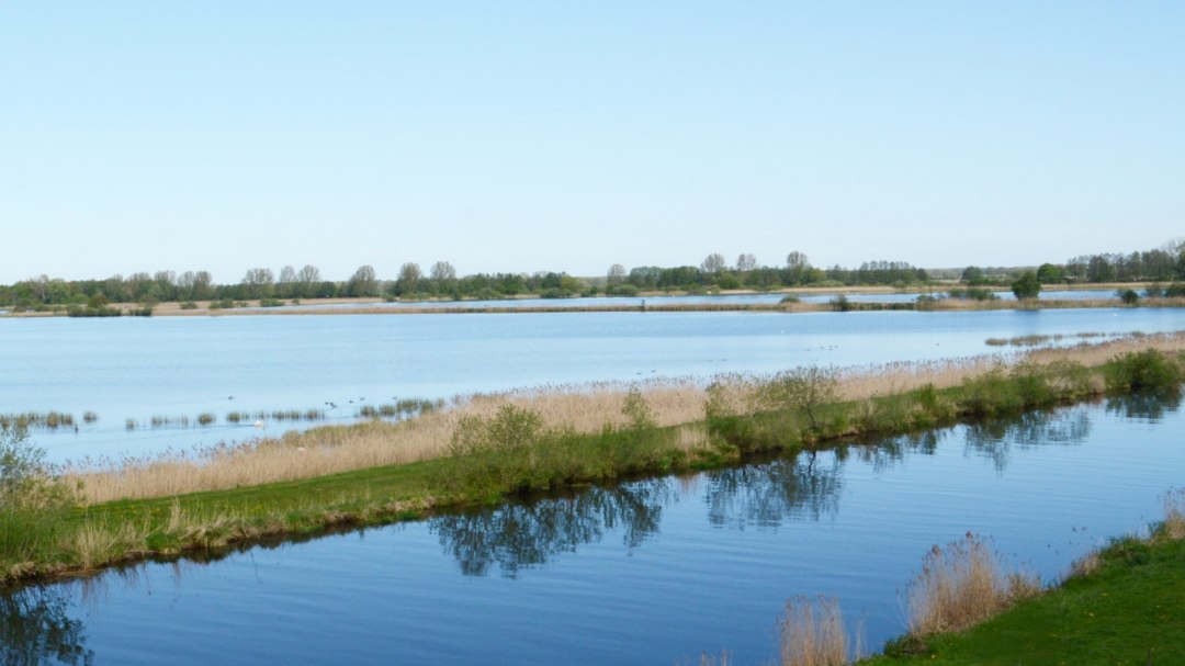 Blick auf die Fischteiche in der Lewitz, © Tourismusverband Mecklenburg-Schwerin e.V. Blick auf die Fischteiche in der Lewitz, © Tourismusverband Mecklenburg-Schwerin e.V.