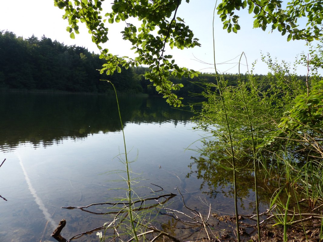 © Bianca Schubert © Bianca Schubert