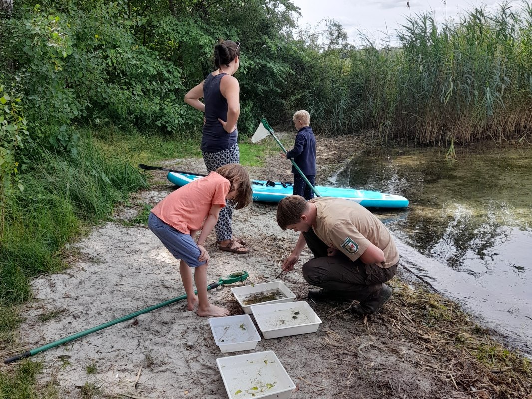 © TDG Rechlin © TDG Rechlin