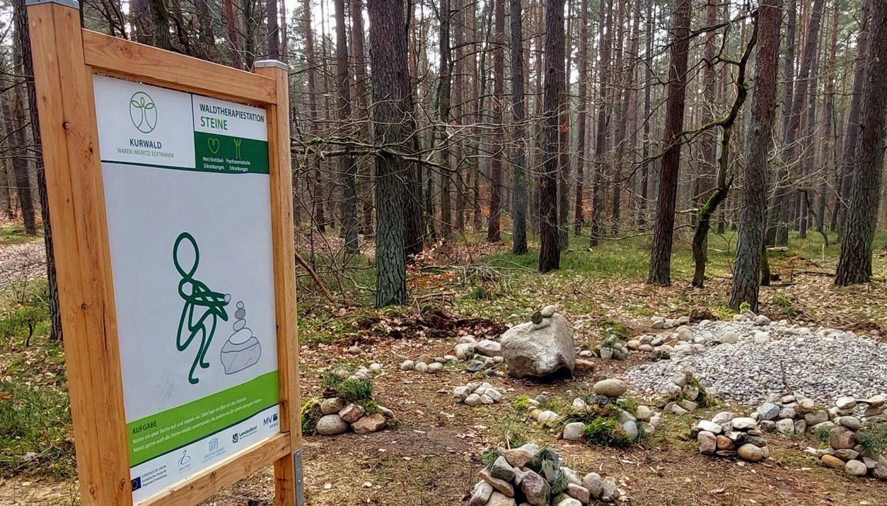 Kurwald 2 quer, © Waren (Müritz) Kur- und Tourismus GmbH Kurwald 2 quer, © Waren (Müritz) Kur- und Tourismus GmbH