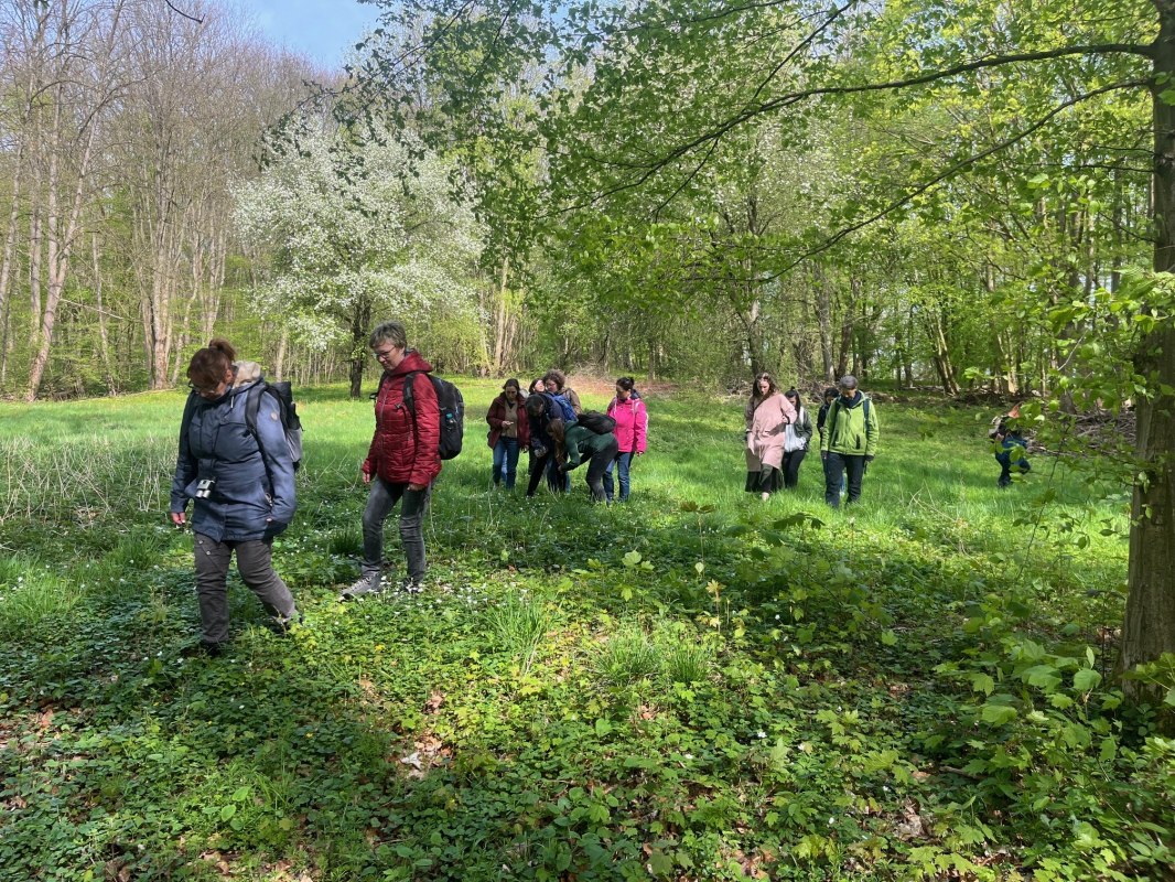 Kruidenwandeling // &copy; Petra Dittmar