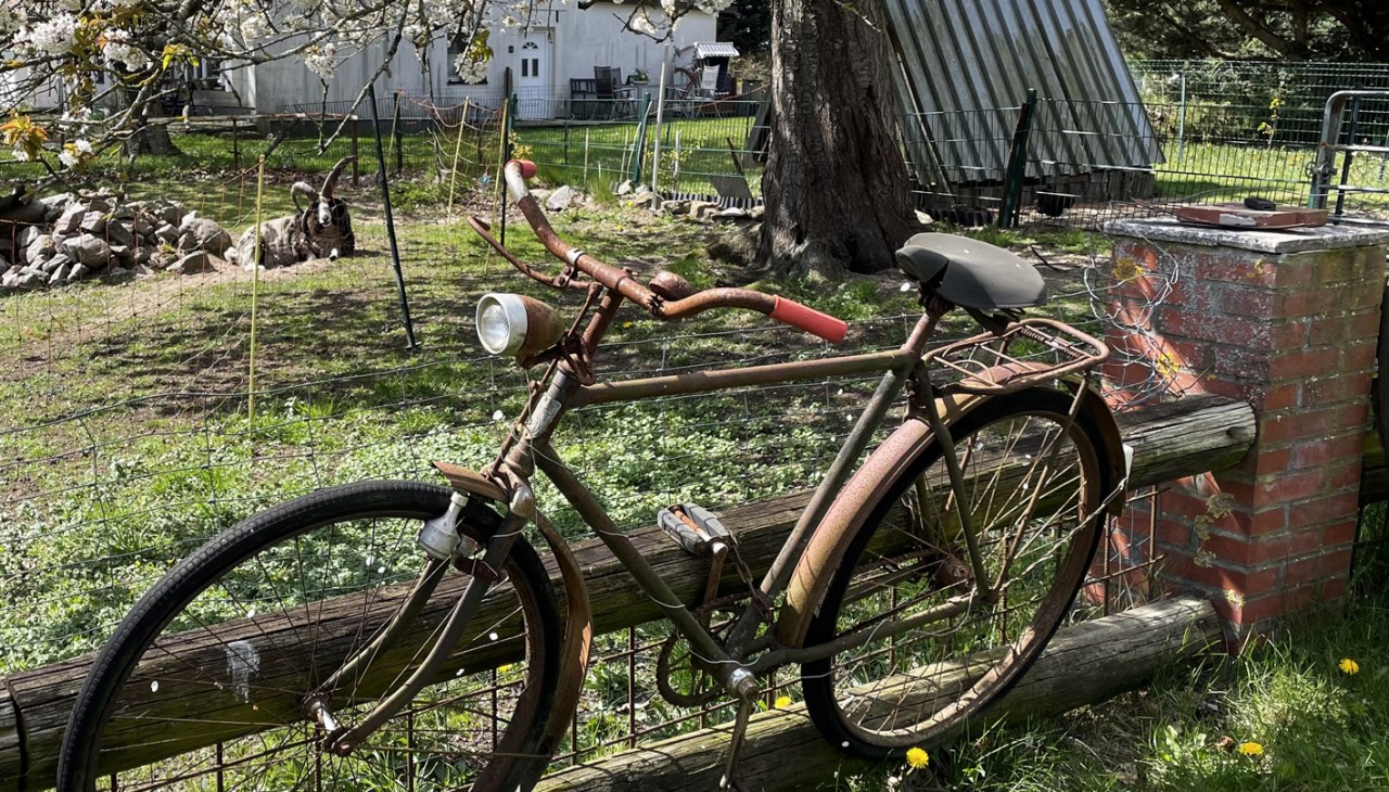 Drahtesel 1, © Südliche Boddenküste Drahtesel 1, © Südliche Boddenküste