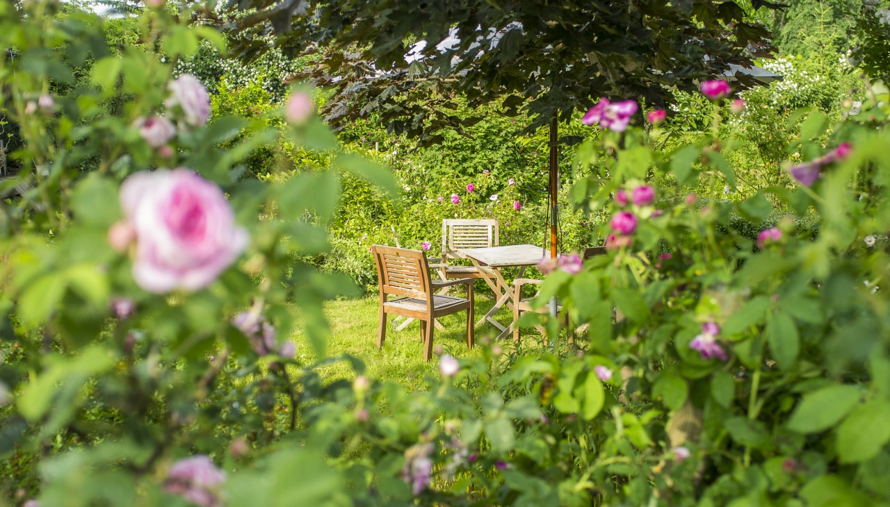 Im Rosengarten des Gutshaus Altbauhof, © Gutshaus Altbauhof / Tim Kellner Im Rosengarten des Gutshaus Altbauhof, © Gutshaus Altbauhof / Tim Kellner