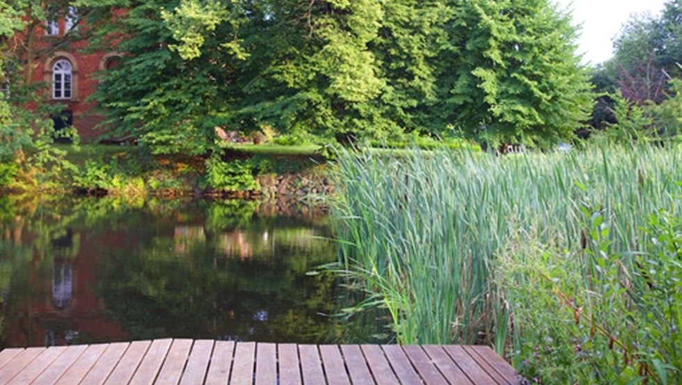 &copy; Antonia Jacobsen